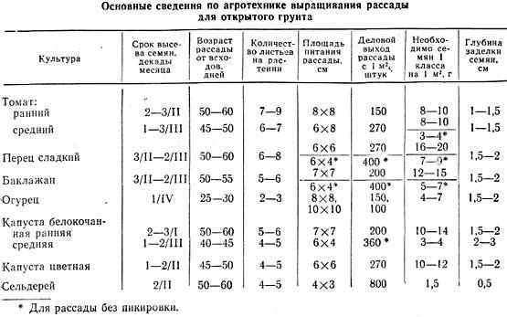 правила хорошей рассады